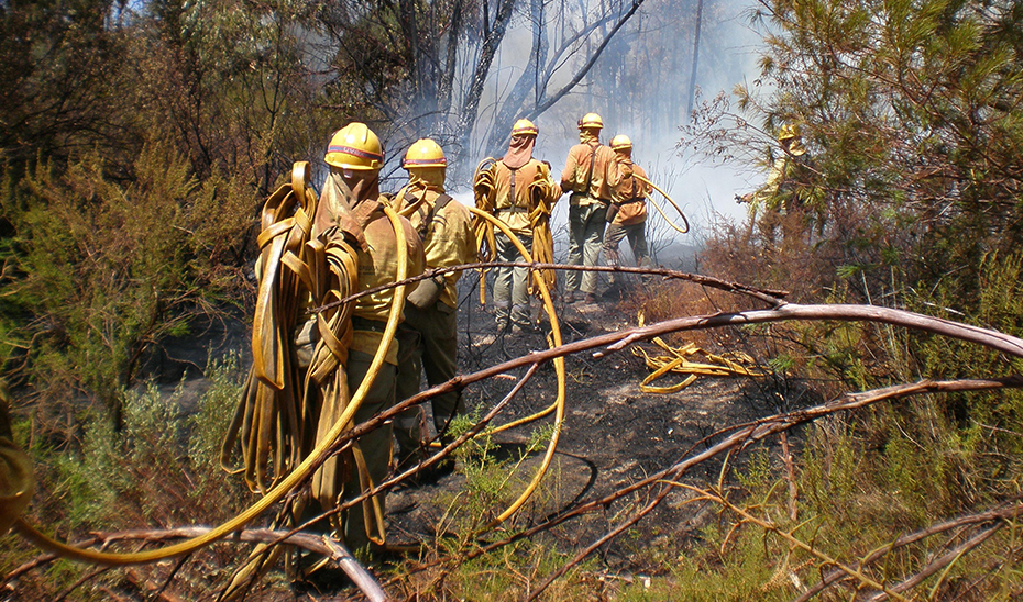 Trabajadores del Infoca en plenas tareas de extinción de un incendio forestal.